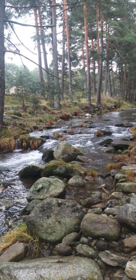 Casa Rural Los 7 Pinos De Gredos Navarredonda de Gredos Dış mekan fotoğraf