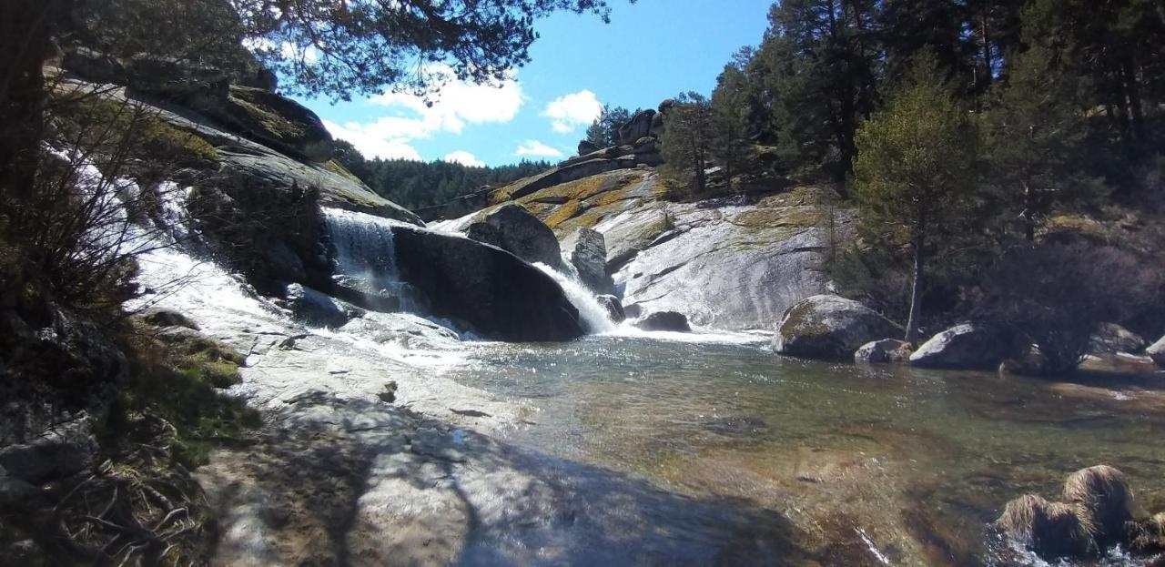 Casa Rural Los 7 Pinos De Gredos Navarredonda de Gredos Dış mekan fotoğraf
